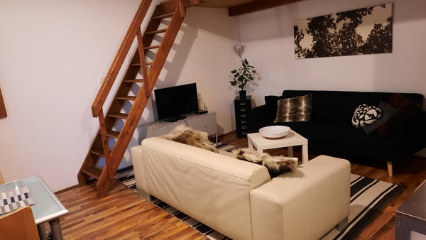 Appartement für eine oder zwei Personen. Doppelbett, Sitzecke, Küche mit Indukti Vienna, Austria Mitten im Dritten 