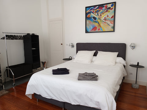 Chambre de 15 m2 avec salle d'eau privative (4 m2) et wc privatif, idéalement si  Chambre privative dans grande maison bordelaise Private room in townhouse vacation rental 663401512758268923