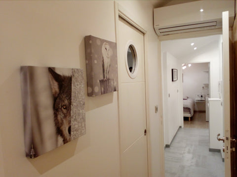 Plein centre de Bordeaux,  place Gambetta, logement indépendant 4° étage (3 étag Bordeaux, France Logement 12 couchages hyper centre de Bordeaux Entire rental unit vacation rental 21535036