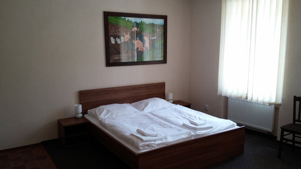 Penzion U Švejků se nachází v historické čtvrti Praha 1, přímo u tramvajové zast Prague, Czechia Penzion U Švejků - pokoj 1 Private room in bed and breakfast vacation rental 45149626