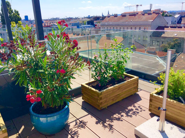 The apartment is a newly built roof top apartment close to the city center.<br / Mödling, Austria Roof top apartment with city view Entire rental unit vacation rental 33830380
