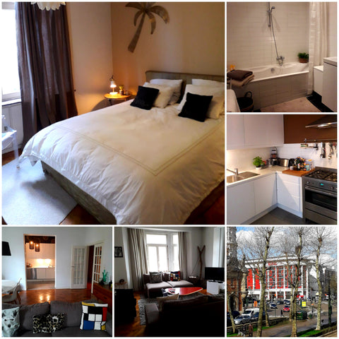 A deux pas du quartier historique et à un coup d'oeil du nouveau musée d'art con Brussels, Belgium Top appartement, Top location Entire rental unit vacation rental 33183418