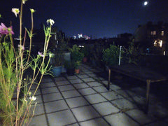 Great location near the sights & city center and right next to the shopping stre  Bright & spacious small apartment near Westbahnhof Entire rental unit vacation rental 51076241