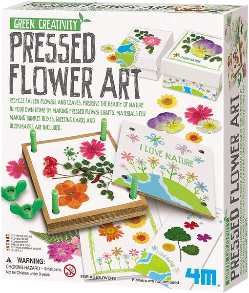 Green Plant Growing Kit - Flower Art Kit for Kids