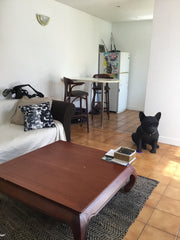 Petite échoppe très calme idéal pour les couples, avec jardin exposé plein sud.  Lesparre-Médoc, France Échoppe Cauderan Entire home vacation rental 20448048