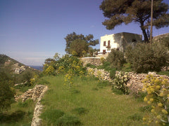 Panoramic view on the Aegean sea. Traditional old house restored by an architect Paris, France Kalythea Entire home vacation rental 13603566