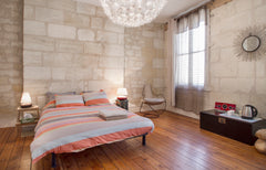 Very large room next to a beautiful bathroom (shared with the host) . In a charm Bordeaux, France Large room, loft spirit flat Private room in rental unit vacation rental 4646325