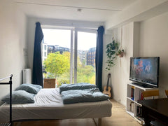 Apartment on Vesterbro in Copenhagen 1.4 kilometers from Copenhagen Central Stat  Cosy apartment in central Copenhagen Entire rental unit vacation rental 688346414035715520