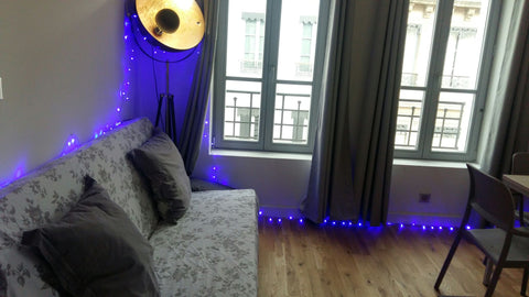 Pretty flat, in place bellecour in an very french building (Haussmannien), in th Paris, France Not open sorry Entire rental unit vacation rental 15473709