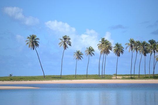 Costa de Camaçari Beach and Praia Tour  Private Tours and Travel Guide America Bahia CITY Salvador da Bahia Destination Tour