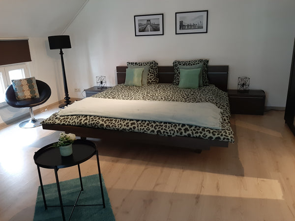 The accomodation is very near (5 min by walking) to Dampoort  train & bus statio  The Big Room Private room in home vacation rental 39624011