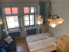 SEE ALL OUR APARTMENTS<br />https://www.airbnb.com/wishlists/62451468<br /><br / Prague, Czechia Central, Walkable, Luxury, Near Tram/Metro, Wifi Entire rental unit vacation rental 6195429