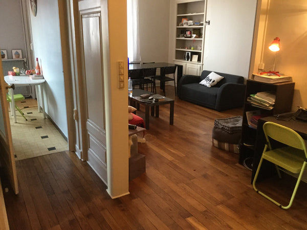 Appartement refait à neuf et en plein cœur de Lyon, proche du métro, de la gare  Lyon, France Bel appartement en cœur de Lyon Private room in rental unit vacation rental 15186269