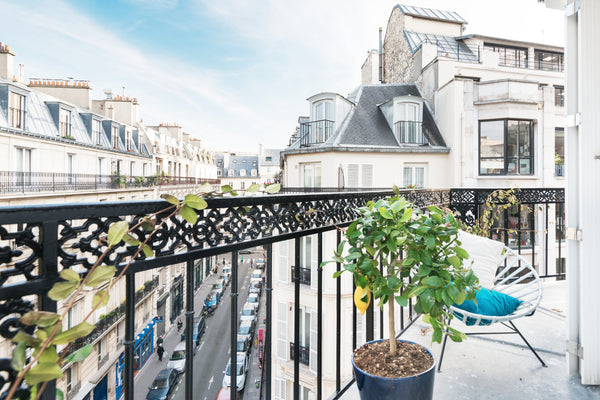 In the heart of Paris, in the 9th arrondissement, discover a haven of peace, a 2 New York, NY Cozy & Sunny Flat in the heart of Paris Entire rental unit vacation rental 24242929