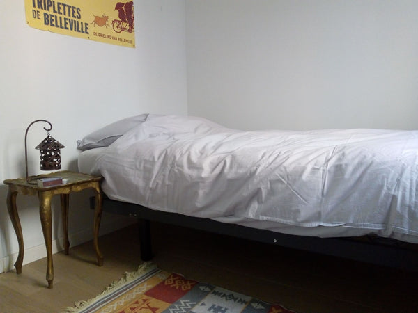 Speciaal voor mensen die alleen reizen voorzie ik deze kamer. Tegelijk kan je ge Antwerp, Belgium Single bed room, at cosy, quiet flat. Private room in rental unit vacation rental 41930681