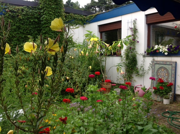 My house is in an estate 4 km Southwest of the outskirts of Vienna from where yo Kaltenleutgeben, Austria Enjoy nature in the Wienerwald Private room in bed and breakfast vacation rental 31355309
