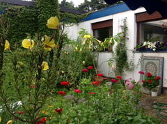 My house is in an estate 4 km Southwest of the outskirts of Vienna from where yo Kaltenleutgeben, Austria Enjoy nature in the Wienerwald Private room in bed and breakfast vacation rental 31355309