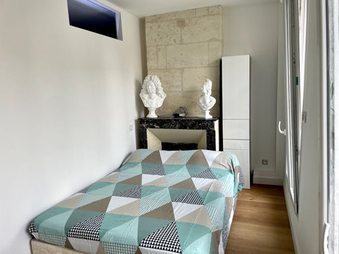 Maison bordelaise type « échoppe » située dans une rue calme de la Rive Droite d Bordeaux, France CHAMBRE DANS ÉCHOPPE BORDELAISE- « M. Antoinette » Private room in townhouse vacation rental 49229975