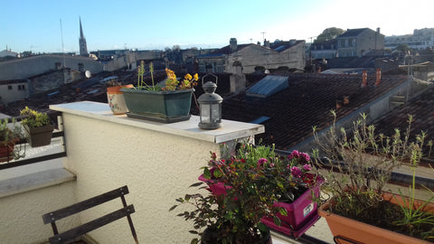 Je vous accueille dans le duplex où je vis, où vous pourrez profiter d'une magni Bordeaux, France Duplex avec vue sur les toits de Bordeaux Entire condo vacation rental 24386397