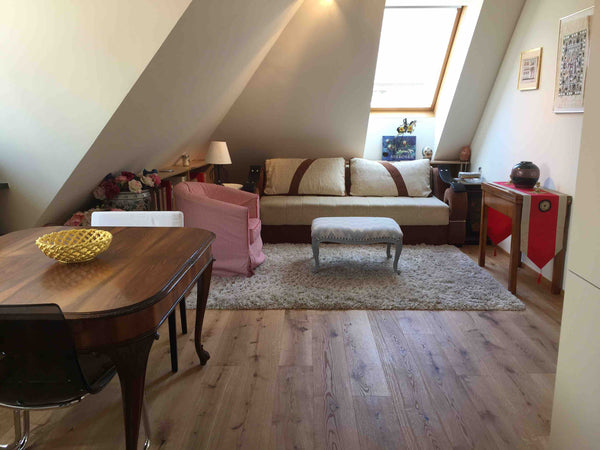 Newly redecorated 2 room appartment in a quiet pedestrian zone, just behind the  Vienna, Austria Newly renovated 2 roomed appartment in City Center Entire rental unit vacation rental 29069764