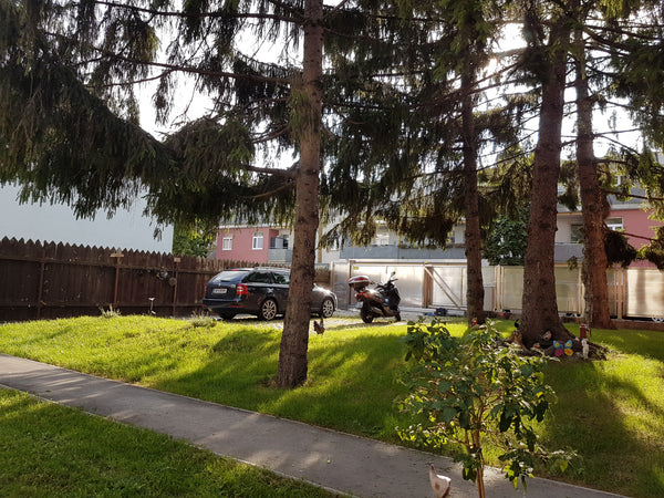 Accommodation and facilities for this holiday house in Simmering in Vienna<br /> Vienna, Austria holiday house TACA 1 in Vienna Entire rental unit vacation rental 3626346