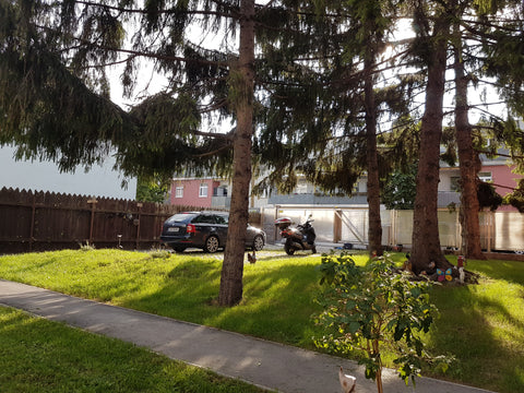 Accommodation and facilities for this holiday house in Simmering in Vienna<br /> Vienna, Austria holiday house TACA 1 in Vienna Entire rental unit vacation rental 3626346
