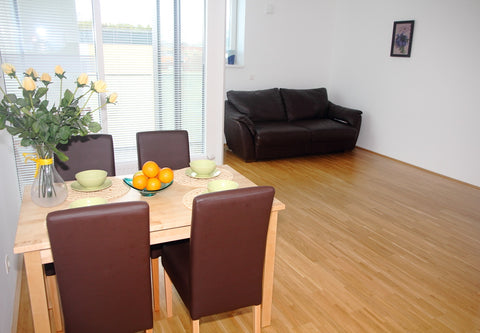 a new 2-room apartment  balcony, 100 m from the entrance to Schönbrunn Park (Pal Vienna, Austria Schönbrunn New 2-rooms Apartment Entire condo vacation rental 979620