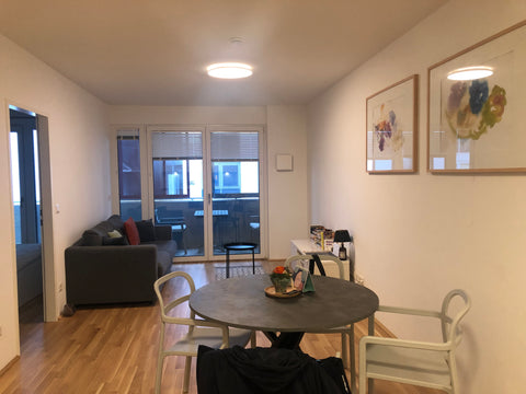 Apartment centrally-located walking distance to the 1st district and Wien-Mitte Vienna, Austria 1-bedroom with loggia central location Entire rental unit vacation rental 43496804