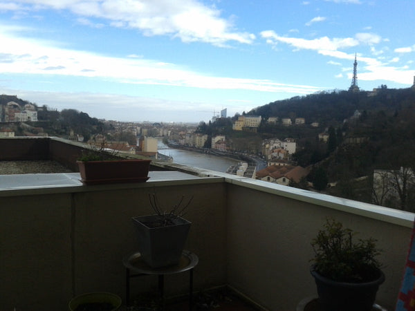 Coquet petit appartement de 45m2 situé sur les quais de Saône, juste au dessus d Lyon, France Coquet et calme avec terrasse et magnifique vue ! Entire rental unit vacation rental 17699599