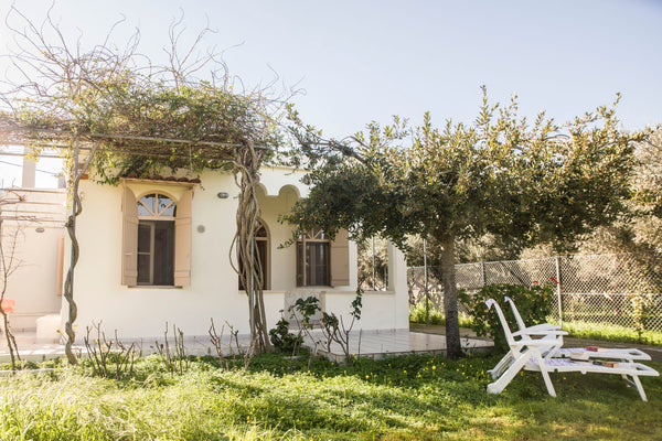 Situated in the middle of Messara’ s valley , surrounded by 2 hectars of olives   Casa Cicala Entire home vacation rental 48075254