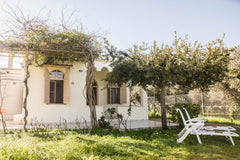 Situated in the middle of Messara’ s valley , surrounded by 2 hectars of olives   Casa Cicala Entire home vacation rental 48075254