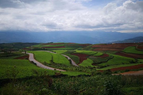 2 Days Dongchuan Red Land Photography Private Tour from Kunming  Private Tours and Travel Guide Asia Shanghai CITY Kunming Destination Tour Asia Shanghai CITY Kunming