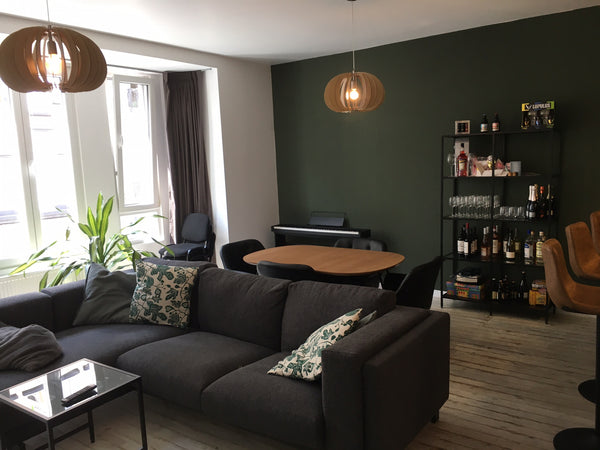 My apartment has a nice big living room with Sofa, TV, dinner table and a turtle Antwerp, Belgium Large,cosy and full equipped appartment Entire condo vacation rental 46044460