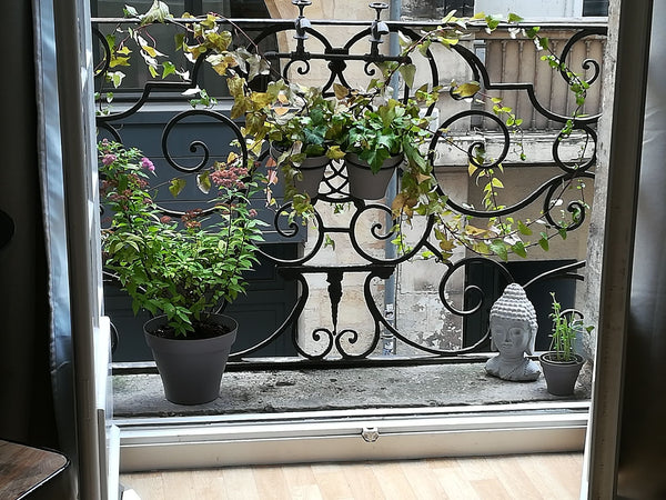 Charmant et confortable petit studio situé  dans une rue calme à 100 m de la Gro  AU COEUR DU QUARTIER BRANCHÉ SAINT PAUL Entire rental unit vacation rental 7217809