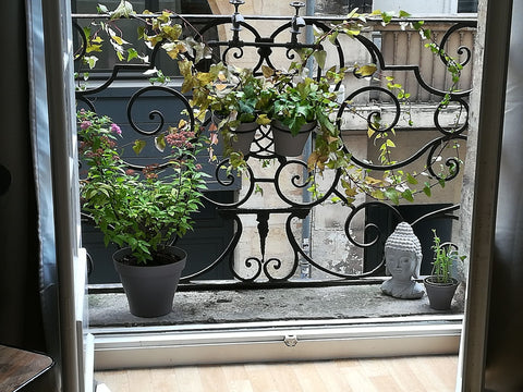 Charmant et confortable petit studio situé  dans une rue calme à 100 m de la Gro  AU COEUR DU QUARTIER BRANCHÉ SAINT PAUL Entire rental unit vacation rental 7217809