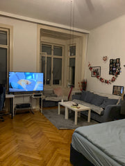 Mein fast 30m2 großes Zimmer in einer 120m2 Wohnung steht dir/euch zur Verfügung Burgenland, Austria Charming viennese appartement in the 6th district Private room in rental unit vacation rental 40969065