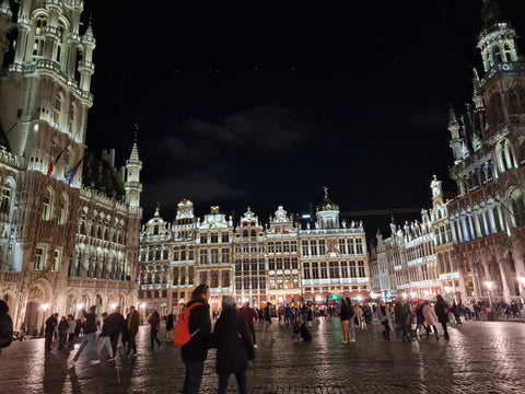 Aproveite o espaço aconchegante, para sua estadia perfeita, quarto acolhedor, co  Venez à Bourse, Grand Place, près de vous. Entire serviced apartment vacation rental 44334950