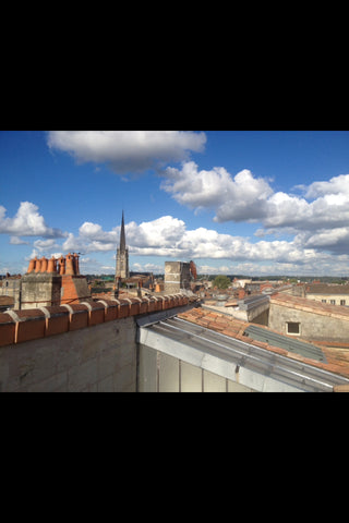 En plein cœur du quartier historique de saint Michel, dans un immeuble en Pierre Lyon, France Grande chambre lumineuse avec terrasse Private room in rental unit vacation rental 19147076