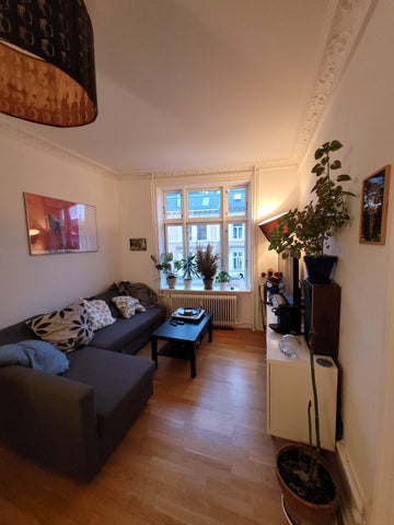 Large single bedroom in historical building 3 mins walking distance from the cen Copenhagen, Denmark Large single room in historical building, KBH V Private room in condo vacation rental 696998655483519957