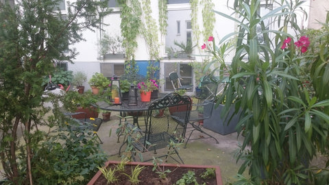 39m² apartment with beautiful courtyard of the house. quiet and safe upcoming ne Vienna, Austria central cityapartement- wifi- nice neighbourhood Entire rental unit vacation rental 38768