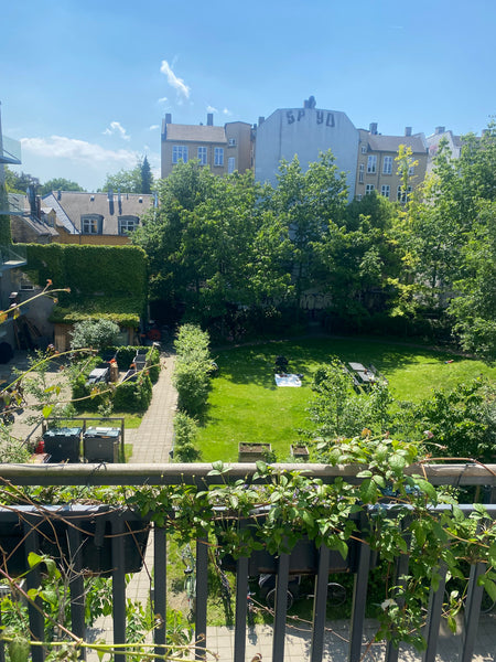 Super cozy and bright apartment on the second floor, central in cool Nørrebro. S Copenhagen, Denmark Central Nørrebro Entire condo vacation rental 646902551701561679