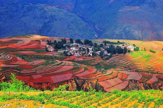 2 Day Kunming Private Tour: Stone Forest and Dongchuan Red Land  Private Tours and Travel Guide Asia Shanghai CITY Kunming Destination Tour