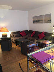 Appartement de 47m2, cosy et très calme, situé à quelques mètres du métro Conven Colombes, France Paris 15ème  : Deux pièces spacieux et calme Entire condo vacation rental 24141018