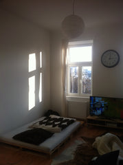 the room has 23qm and 2 big windows, so the sunlight can kiss you awake.<br />it Vienna, Austria bright and cozy room in vienna Private room in rental unit vacation rental 5101125