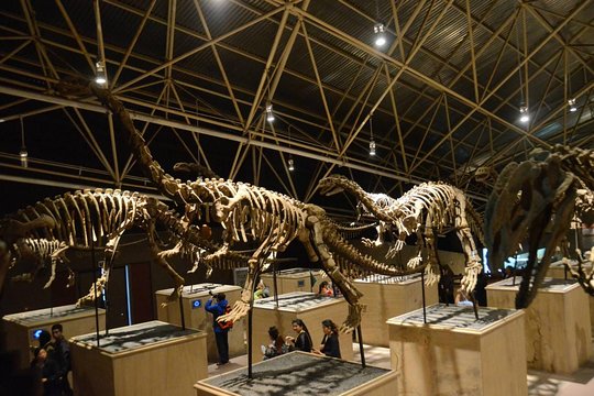 1 Day Dinosaur Tour in Kunming  Private Tours and Travel Guide Asia Shanghai CITY Kunming Destination Tour