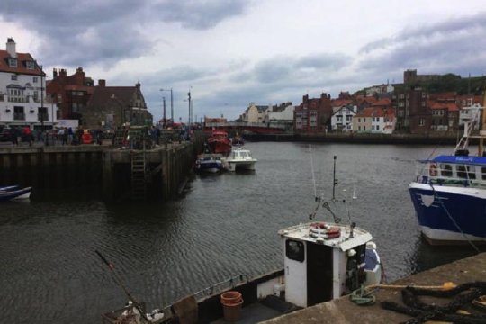 Whitby Home of Captain Cook and Count Dracula  Private Tours and Travel Guide Europe London CITY Middlesbrough Destination Tour