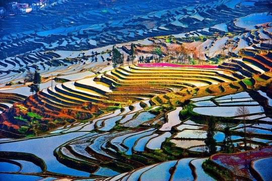 2 Day Private Transfer Service to Yuanyang Rice Terrace from Kunming  Private Tours and Travel Guide Asia Shanghai CITY Kunming Destination Tour