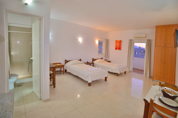 This is a unique-space studio of about 40 square meters, with a bathroom. There  Athens, Greece Quadruple Studio on Ground Floor-Reina Apartments Entire condo vacation rental 663177324932308038