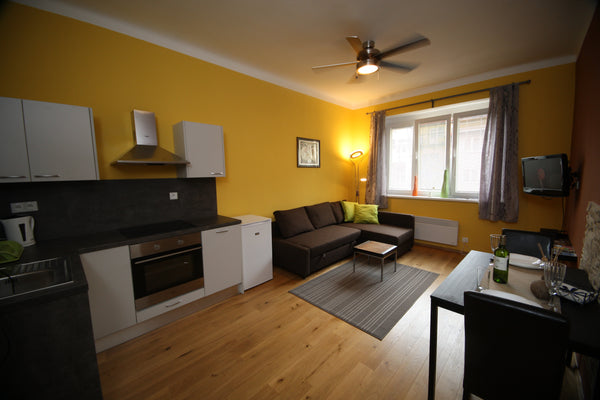 Sunny accommodation near city-center 2<br />2016 renovated 50 sqm, 2-room apartm Prague, Czechia Sunny apartment near centre 2 Entire rental unit vacation rental 7361726