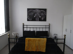 Gezellige ruimte in het centrum van de stad.Dicht bij het park, winkels, restaur  Golden Night Entire loft vacation rental 41924600